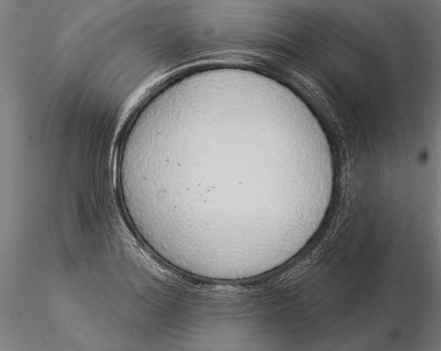 X0000116041180200912111432