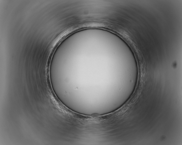 X0000116041181200912111432