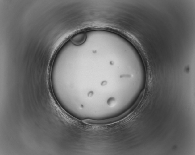 X0000116041183200912111432