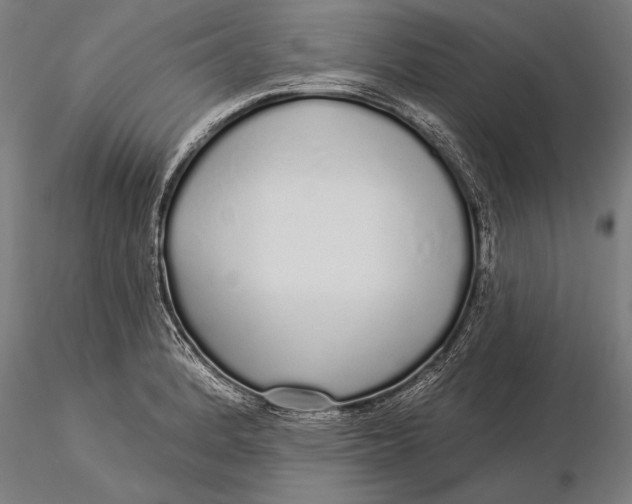 X0000116041184200912111432