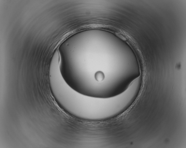 X0000116041185200912111432