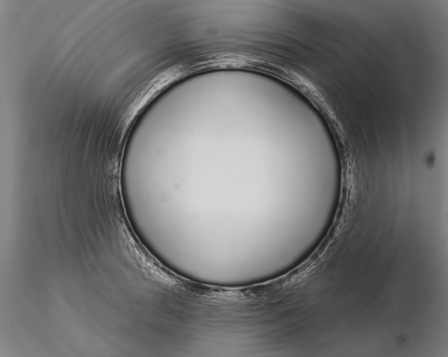 X0000116041186200912111432