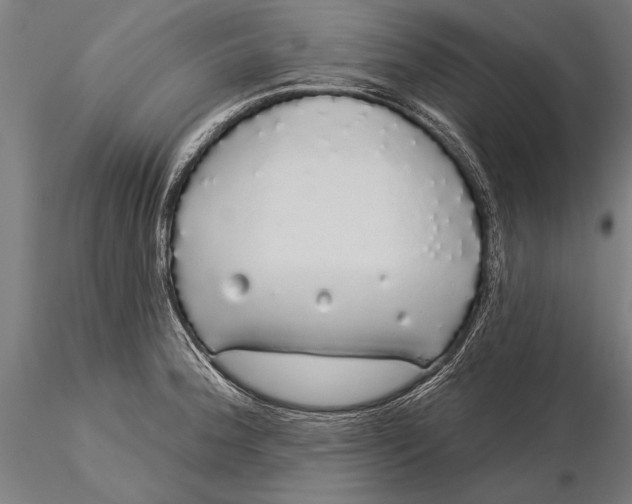 X0000116041188200912111432