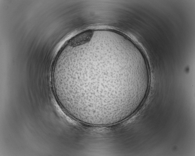 X0000116041189200912111432