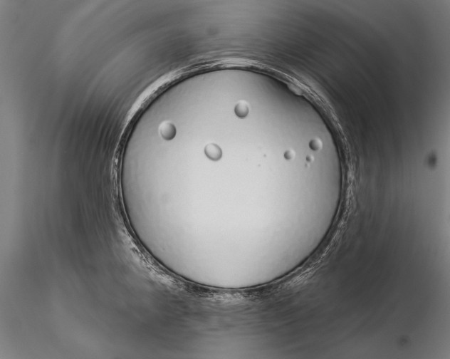 X0000116041190200912111432