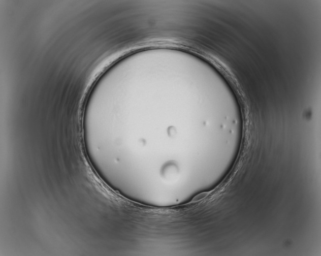 X0000116041192200912111432