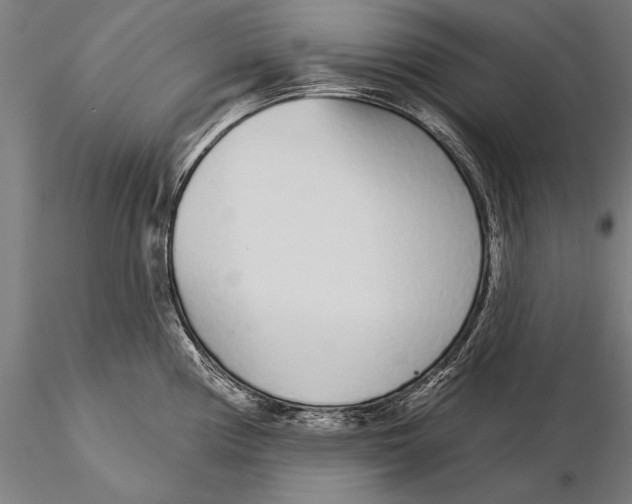 X0000116041194200912111432