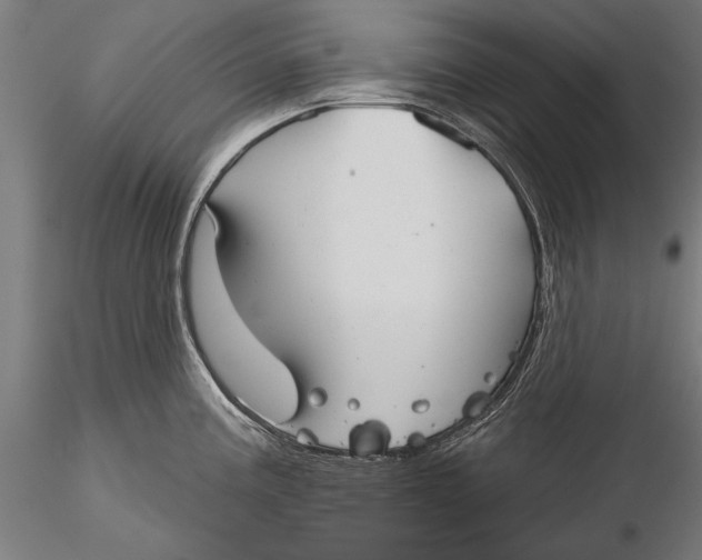 X0000116041195200912111432