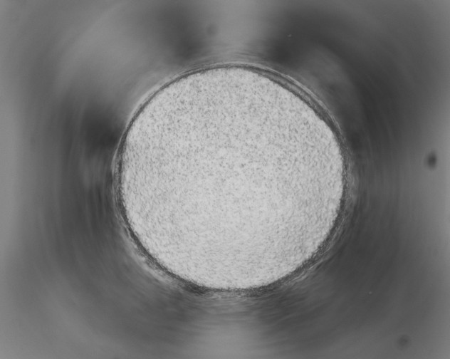 X0000116041198200912111432