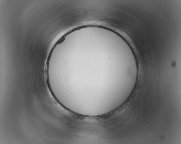 X0000116041199200912111432