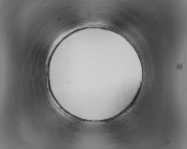 X0000116041200200912111432