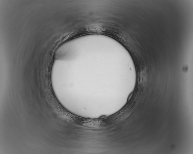 X0000116041201200912111431