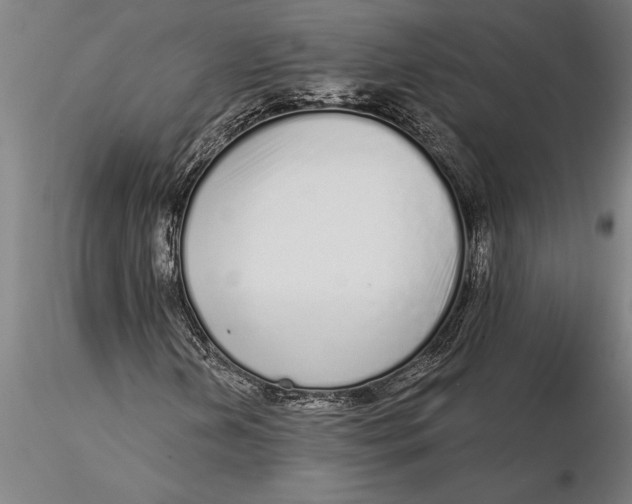 X0000116041202200912111431