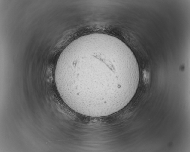 X0000116041203200912111431