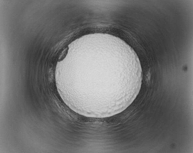 X0000116041204200912111431