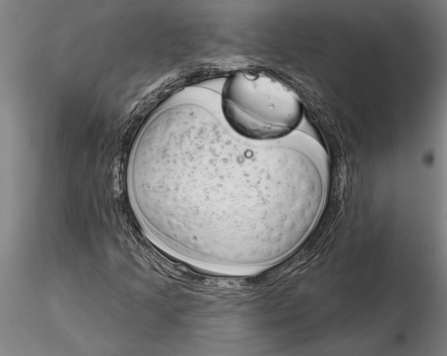 X0000116041205200912111431