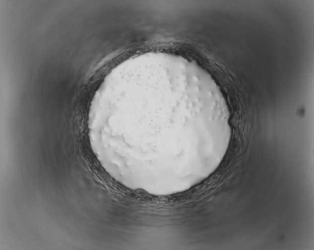 X0000116041206200912111431