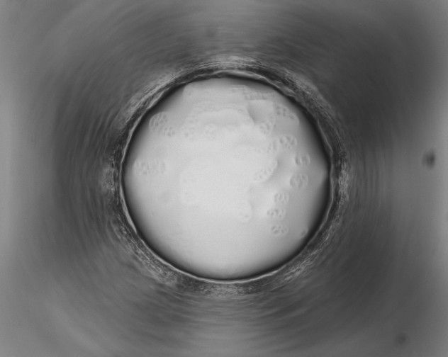 X0000116041209200912111431