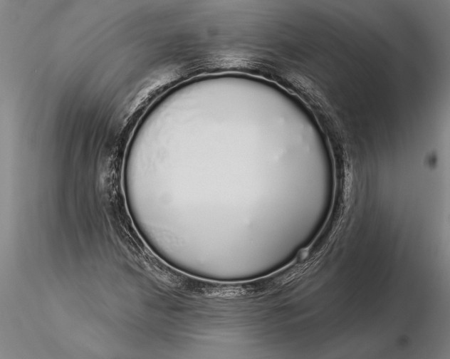 X0000116041210200912111431