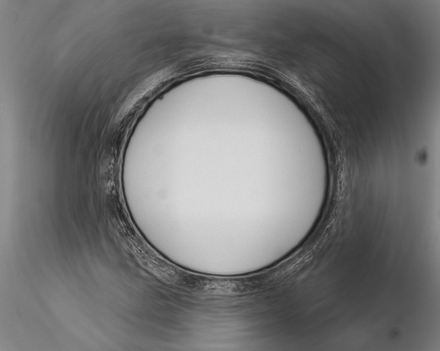 X0000116041211200912111431