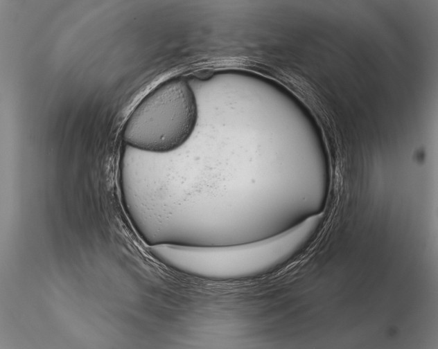 X0000116041212200912111431