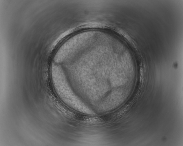 X0000116041213200912111431