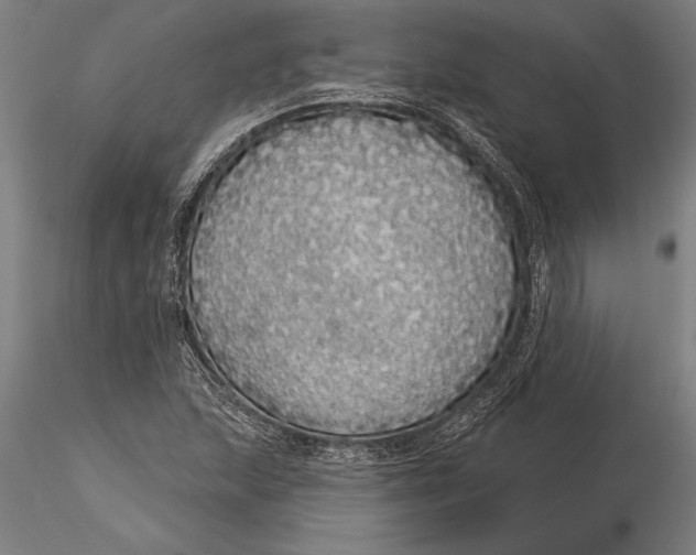 X0000116041215200912111431