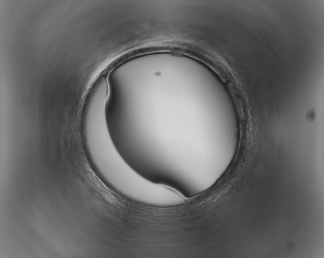 X0000116041216200912111431