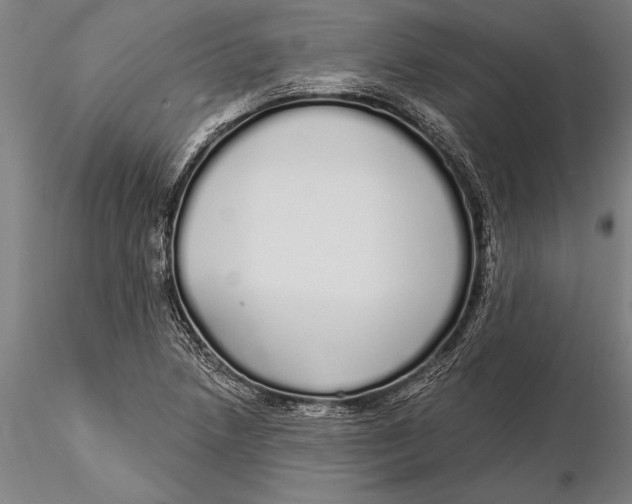 X0000116041218200912111431