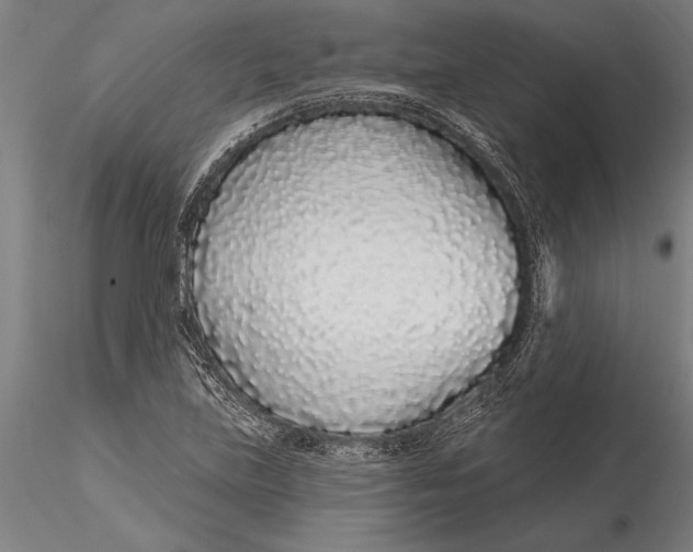 X0000116041219200912111431