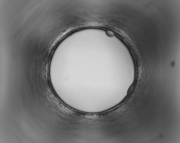 X0000116041220200912111431