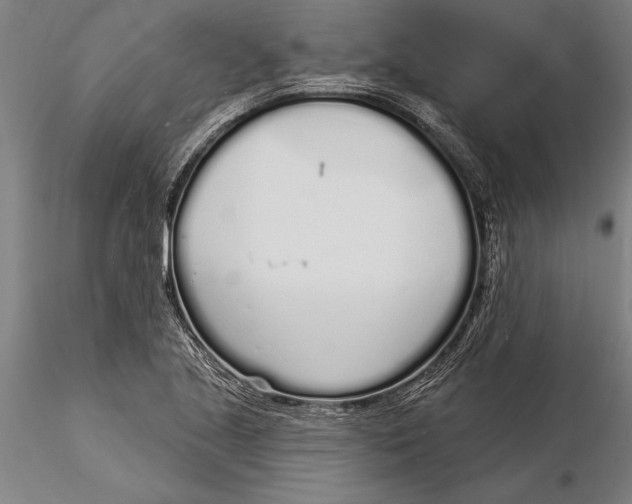 X0000116041221200912111432