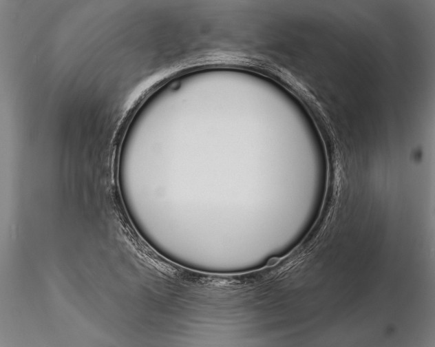 X0000116041222200912111432