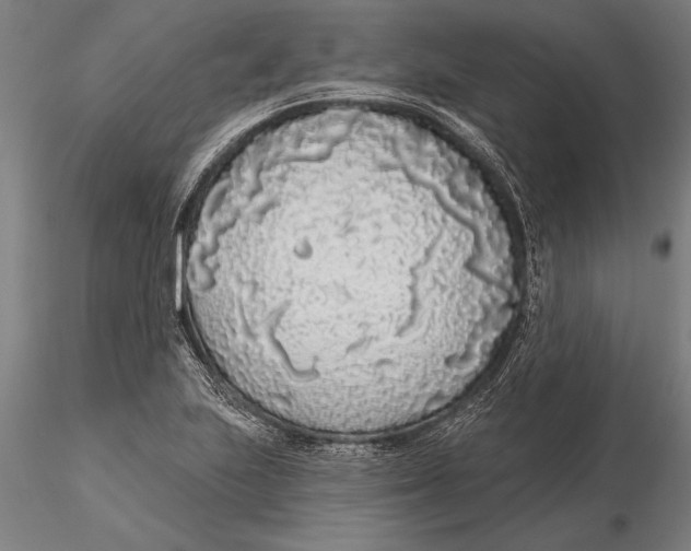 X0000116041223200912111432