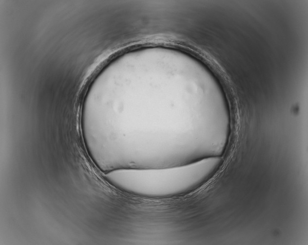 X0000116041224200912111432