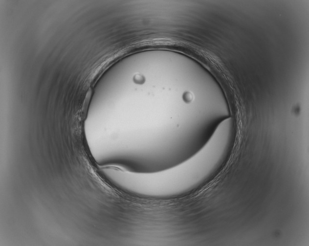 X0000116041225200912111432