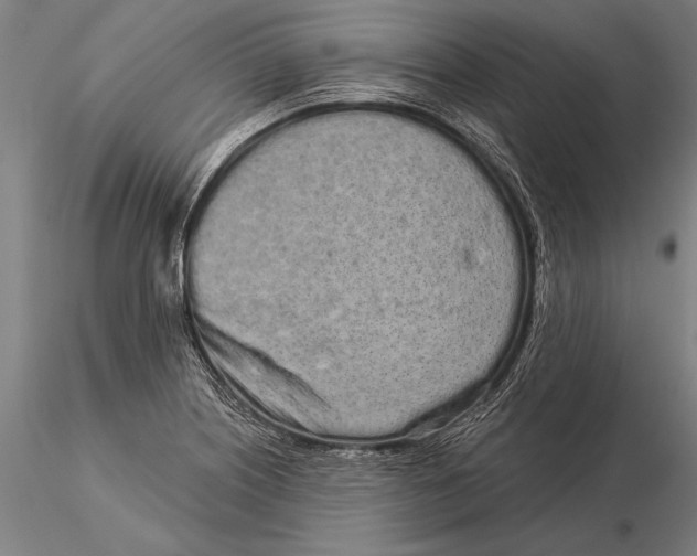 X0000116041226200912111432