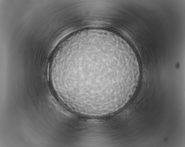 X0000116041227200912111432