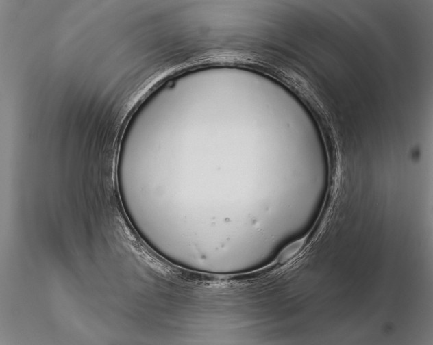 X0000116041228200912111432