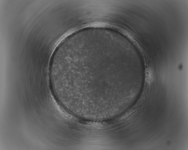 X0000116041229200912111432