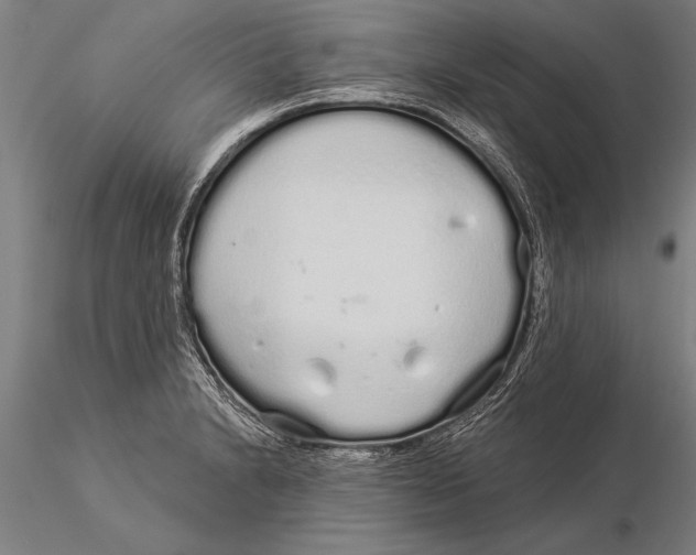 X0000116041230200912111432