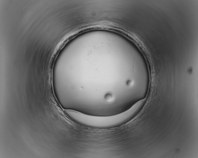 X0000116041232200912111432