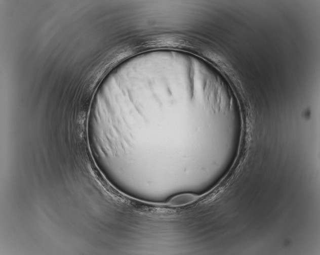 X0000116041233200912111432