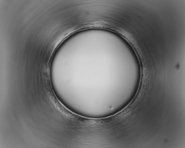 X0000116041234200912111432