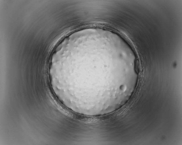 X0000116041235200912111432