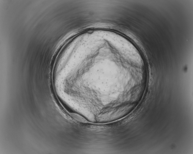 X0000116041237200912111432