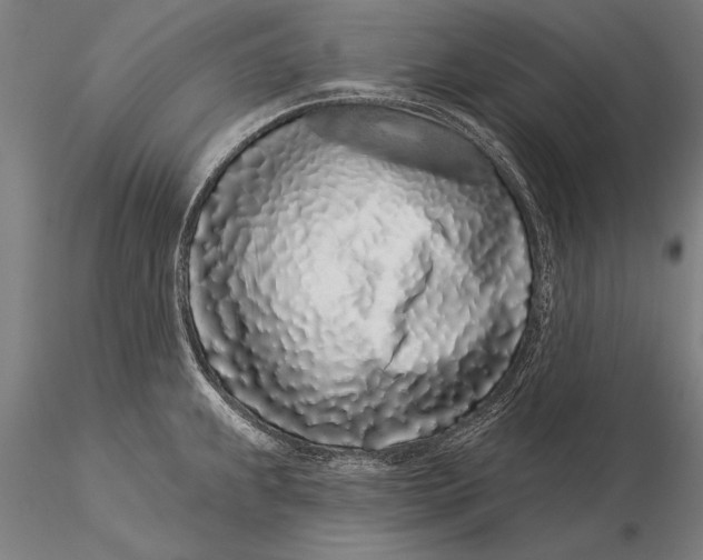 X0000116041239200912111432