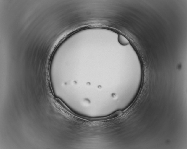 X0000116041240200912111432