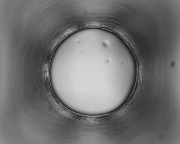 X0000116041241200912111432