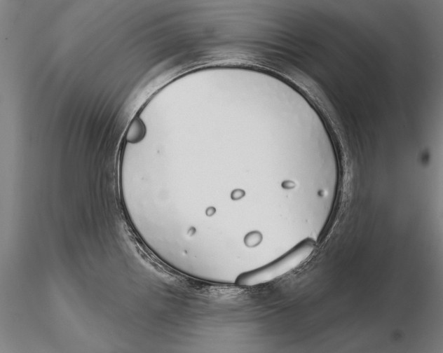 X0000116041242200912111432